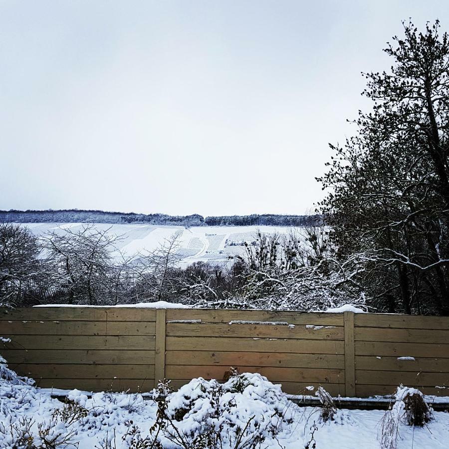 Gite Millesime Et Une Nuit Holiday home Villers-sous-Chatillon Εξωτερικό φωτογραφία