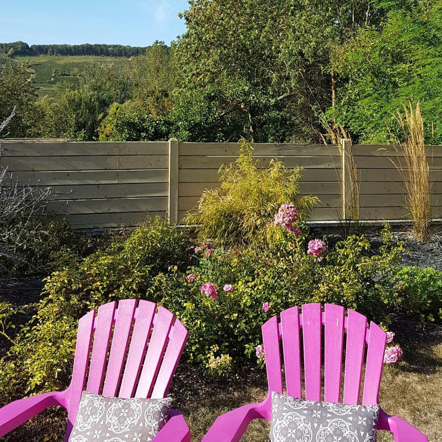Gite Millesime Et Une Nuit Holiday home Villers-sous-Chatillon Εξωτερικό φωτογραφία
